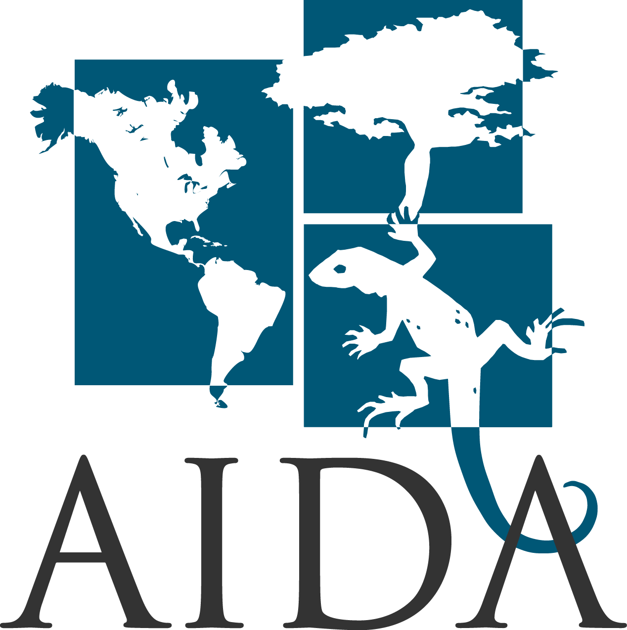 AIDA